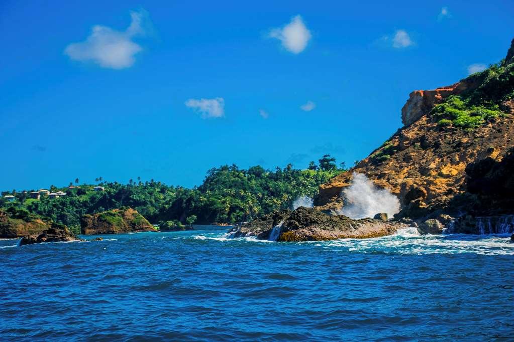 Atlantique View Resort And Spa, Ascend Hotel Collection Saint Andrew Commodités photo